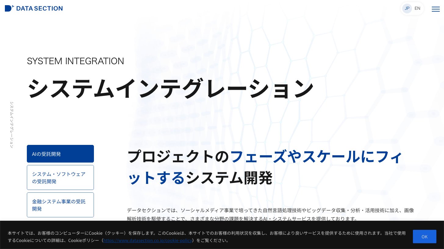 データセクション システムインテグレーション事業ページ